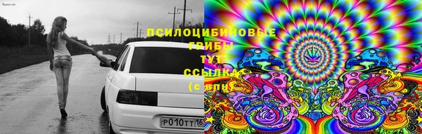 каннабис Алексеевка
