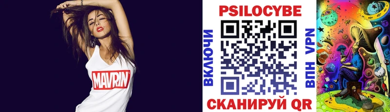 продажа наркотиков  Райчихинск  Псилоцибиновые грибы Psilocybine cubensis 